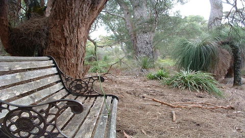 Yelverton Brook Conservation Sanctuary - Southport Accommodation 42