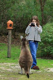 Yelverton Brook Conservation Sanctuary - Southport Accommodation 39