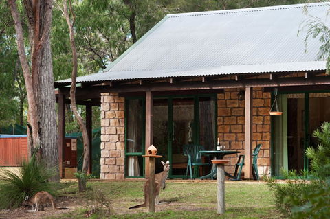 Yelverton Brook Conservation Sanctuary - Southport Accommodation 36