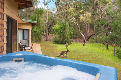 Yelverton Brook Conservation Sanctuary - Southport Accommodation 9