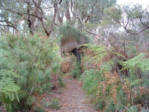 Yelverton Brook Conservation Sanctuary - Southport Accommodation 41