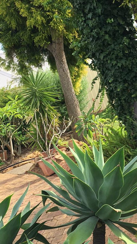 Armadale Cottage Bed & Breakfast - Accommodation Southport 1