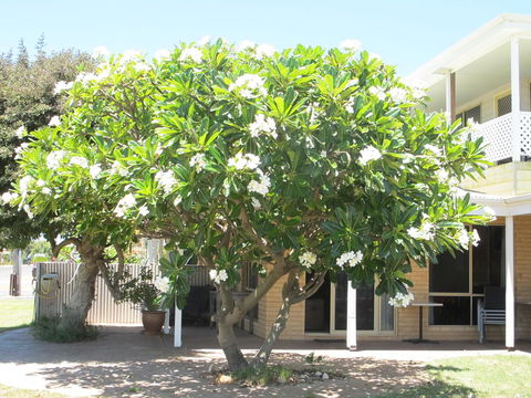 Kalbarri Riverfront Unit - Southport Accommodation 6