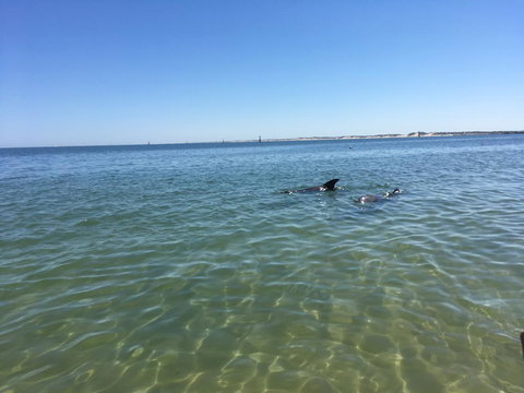 Bluebird Cottage - Accommodation Southport 39