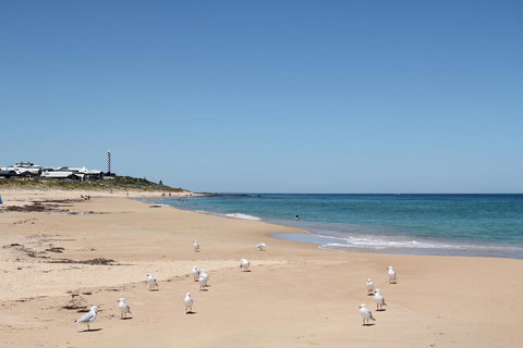 Bluebird Cottage - Accommodation Southport 40