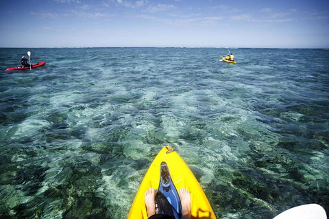 Sal Salis Ningaloo Reef - Southport Accommodation 15