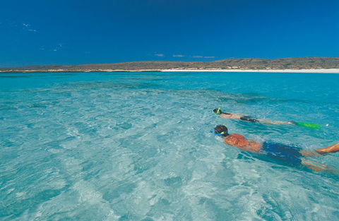 Sal Salis Ningaloo Reef - Southport Accommodation 9