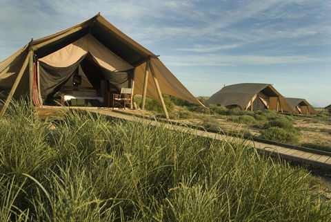 Sal Salis Ningaloo Reef - Southport Accommodation 25
