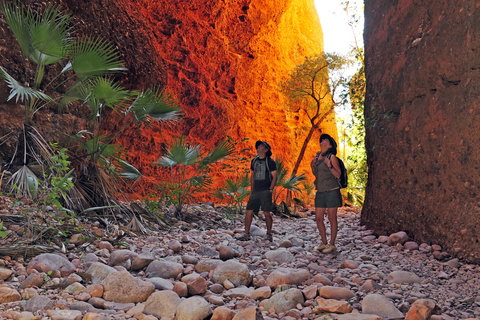 Bungle Bungle Wilderness Lodge - Southport Accommodation 13