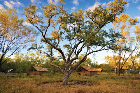 Bungle Bungle Wilderness Lodge - Southport Accommodation 11