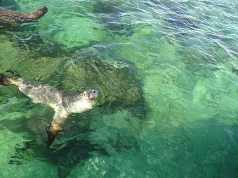 Acaciabnb - Accommodation Southport 5