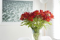 Book Kingston Beach Accommodation Vacations Southport Accommodation Southport Accommodation