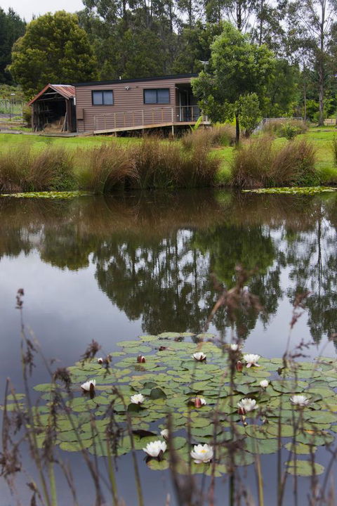 Tyenna River Cottages - Southport Accommodation 13