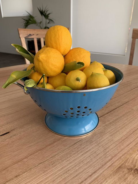 Anchorage Tasmania - Accommodation Southport 21