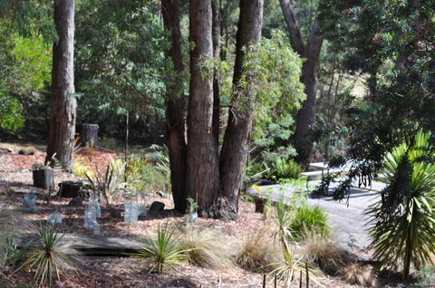 Oyster Cove Chalet - Southport Accommodation 26