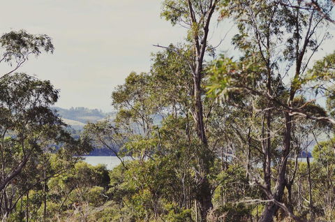 Oyster Cove Chalet - Southport Accommodation 17
