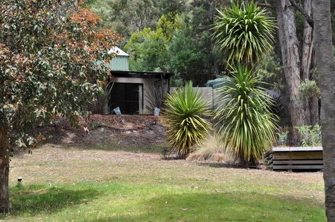 Oyster Cove Chalet - Southport Accommodation 21