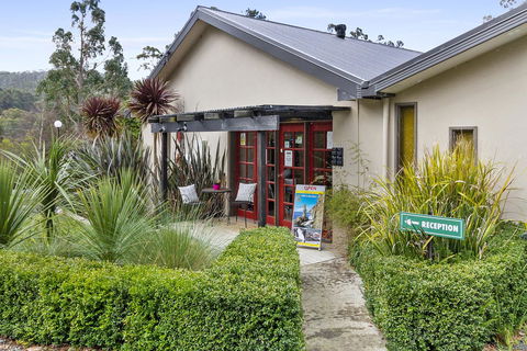 Oyster Cove Chalet - Southport Accommodation 13