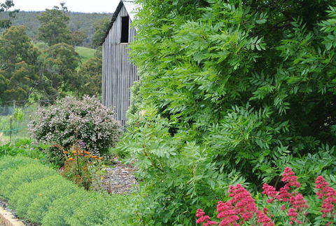 Hamlet Downs Country Accommodation - Southport Accommodation 19