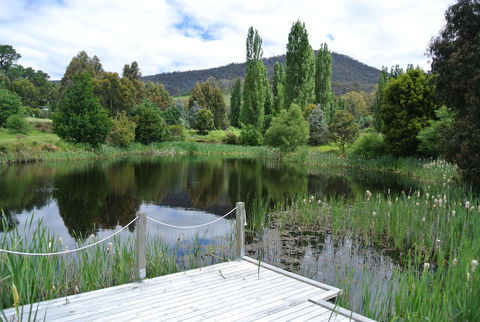 Hamlet Downs Country Accommodation - Southport Accommodation 12