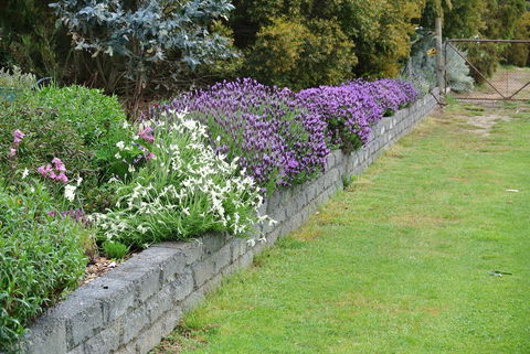 Hamlet Downs Country Accommodation - Southport Accommodation 14
