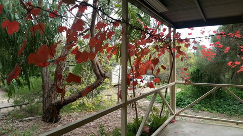 Padthaway Caravan Park - Accommodation Southport 1