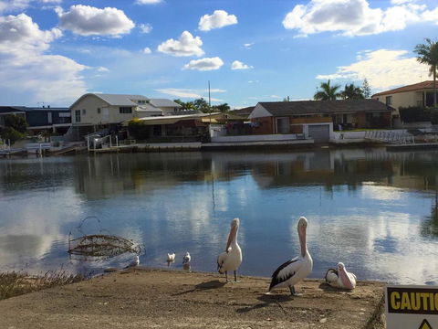 Pelican Cove Apartments - Southport Accommodation 0