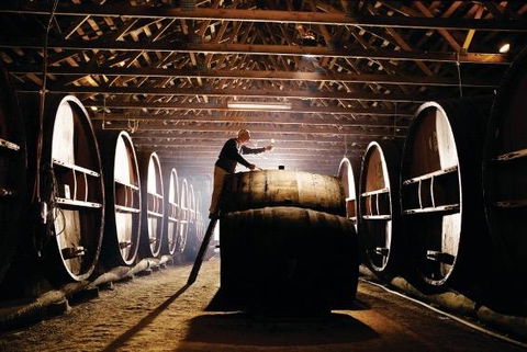 Pieter Van Gent Winery & Vineyard - Southport Accommodation 0
