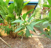Rainforest Cottage Cairns - Southport Accommodation