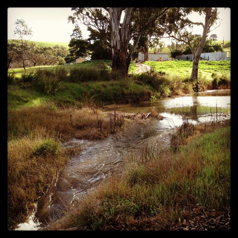 River Cottage Barossa -Self Contained-30 Acres-360 Degree Views-Netflix -Wine-Wifi - Southport Accommodation 3