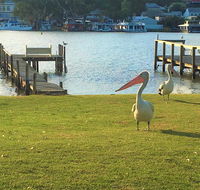 Riverfront Getaway - Mannum - Southport Accommodation