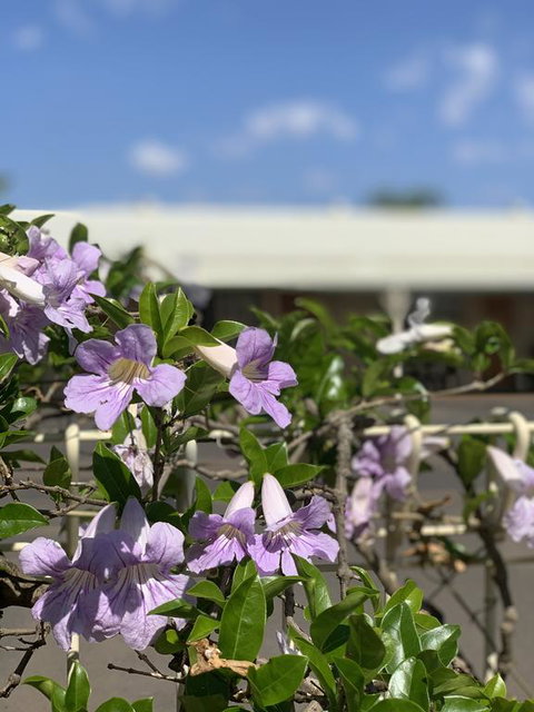 Riverland Motor Inn - Southport Accommodation 3