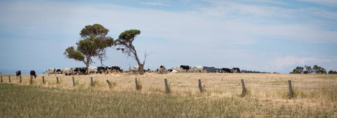 SALT - 37 Oceanview Drive - Accommodation Southport 2