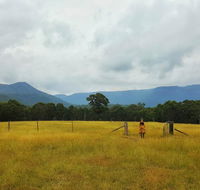 Secret Valley Escape - Southport Accommodation