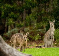 Secura Lifestyle Countryside Kalaru - Southport Accommodation