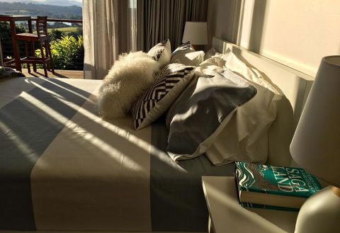 Studio With Stunning Mountain Views - Southport Accommodation 2