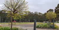 Book Lebrina Accommodation Vacations Southport Accommodation Southport Accommodation
