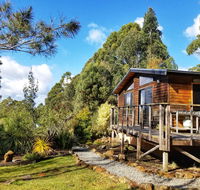 Southern Forest Accommodation - Southport Accommodation
