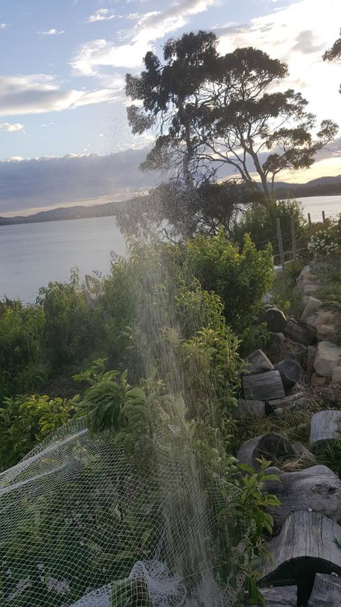 AppleBay Guest House - Accommodation Southport 21