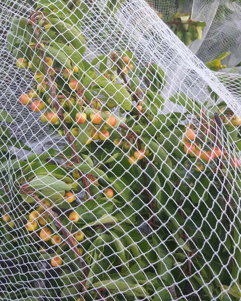 AppleBay Guest House - Accommodation Southport 30