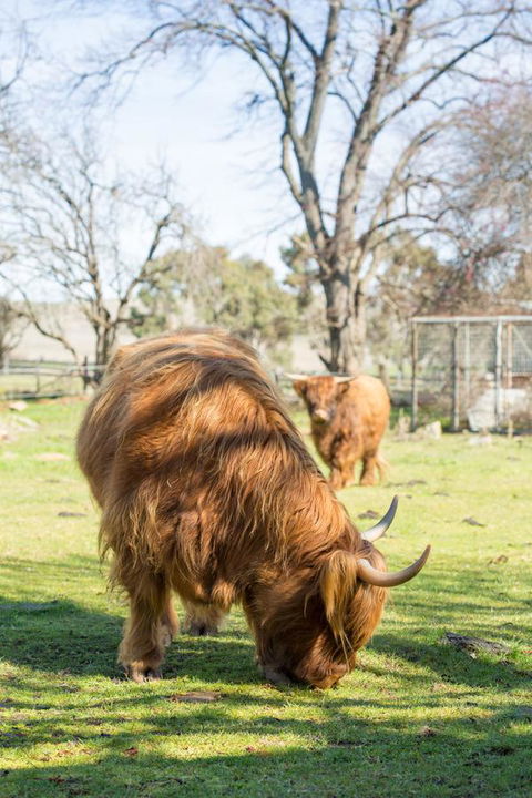 Ratho Farm - Southport Accommodation 4