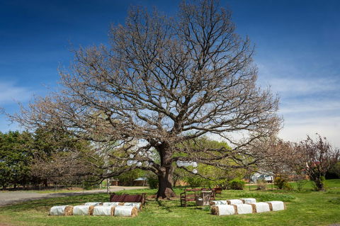 Ratho Farm - Southport Accommodation 8