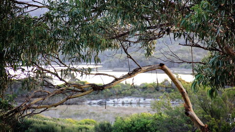 KINGFISHER COTTAGE Beachfront At The Binalong Bay - Southport Accommodation 17
