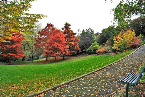 Apartment No 1 - Accommodation Southport 32