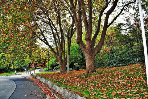 Apartment No 1 - Accommodation Southport 34