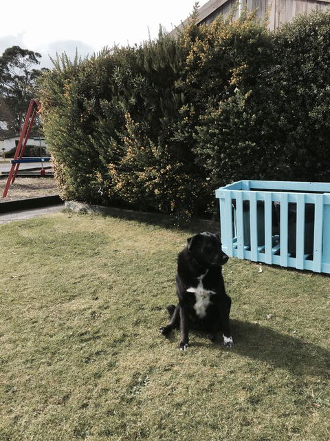 Strahan Beach Tourist Park - Southport Accommodation 9