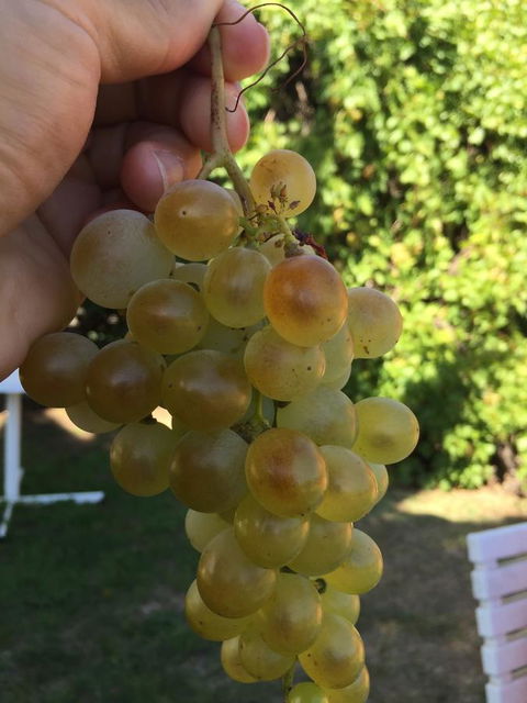 Campbell St Lodge - Southport Accommodation 9