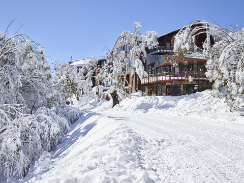 Astra Falls Creek - Accommodation Southport 3