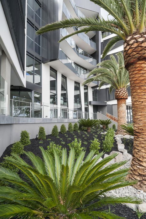 Caroline Serviced Apartments Sandringham - Southport Accommodation 3