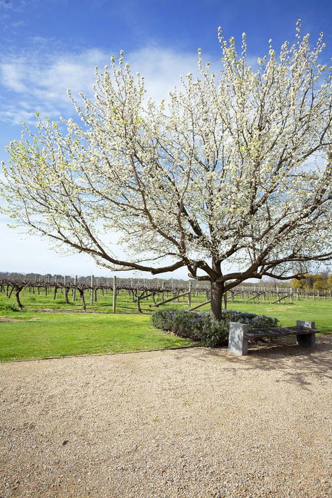 Lancemore Milawa - Southport Accommodation 12